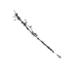 seqclust/clustering/clusters/dir_CL0163/CL163_tmb.png