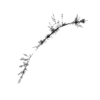 seqclust/clustering/clusters/dir_CL0165/CL165_tmb.png