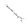 seqclust/clustering/clusters/dir_CL0172/CL172_tmb.png