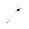 seqclust/clustering/clusters/dir_CL0174/CL174_tmb.png