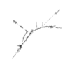 seqclust/clustering/clusters/dir_CL0175/CL175_tmb.png