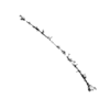 seqclust/clustering/clusters/dir_CL0176/CL176_tmb.png