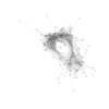 seqclust/clustering/clusters/dir_CL0234/CL234_tmb.png