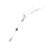 seqclust/clustering/clusters/dir_CL0247/CL247_tmb.png