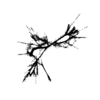 seqclust/clustering/clusters/dir_CL0010/CL10_tmb.png