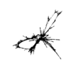 seqclust/clustering/clusters/dir_CL0015/CL15_tmb.png