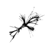 seqclust/clustering/clusters/dir_CL0017/CL17_tmb.png