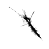 seqclust/clustering/clusters/dir_CL0021/CL21_tmb.png