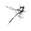 seqclust/clustering/clusters/dir_CL0024/CL24_tmb.png