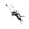 seqclust/clustering/clusters/dir_CL0029/CL29_tmb.png