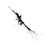 seqclust/clustering/clusters/dir_CL0031/CL31_tmb.png