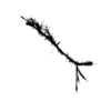 seqclust/clustering/clusters/dir_CL0033/CL33_tmb.png