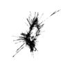 seqclust/clustering/clusters/dir_CL0035/CL35_tmb.png