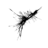 seqclust/clustering/clusters/dir_CL0036/CL36_tmb.png