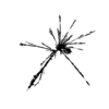 seqclust/clustering/clusters/dir_CL0037/CL37_tmb.png