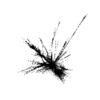 seqclust/clustering/clusters/dir_CL0038/CL38_tmb.png