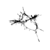 seqclust/clustering/clusters/dir_CL0040/CL40_tmb.png