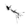 seqclust/clustering/clusters/dir_CL0041/CL41_tmb.png