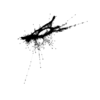 seqclust/clustering/clusters/dir_CL0043/CL43_tmb.png