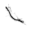 seqclust/clustering/clusters/dir_CL0044/CL44_tmb.png