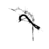 seqclust/clustering/clusters/dir_CL0046/CL46_tmb.png