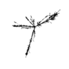 seqclust/clustering/clusters/dir_CL0053/CL53_tmb.png