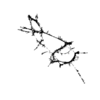 seqclust/clustering/clusters/dir_CL0054/CL54_tmb.png