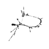 seqclust/clustering/clusters/dir_CL0055/CL55_tmb.png