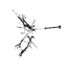 seqclust/clustering/clusters/dir_CL0065/CL65_tmb.png
