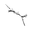seqclust/clustering/clusters/dir_CL0067/CL67_tmb.png