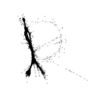 seqclust/clustering/clusters/dir_CL0068/CL68_tmb.png