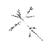seqclust/clustering/clusters/dir_CL0071/CL71_tmb.png
