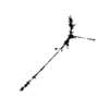 seqclust/clustering/clusters/dir_CL0073/CL73_tmb.png