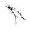 seqclust/clustering/clusters/dir_CL0074/CL74_tmb.png