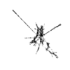 seqclust/clustering/clusters/dir_CL0075/CL75_tmb.png