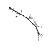 seqclust/clustering/clusters/dir_CL0077/CL77_tmb.png