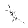 seqclust/clustering/clusters/dir_CL0078/CL78_tmb.png