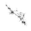 seqclust/clustering/clusters/dir_CL0086/CL86_tmb.png