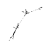 seqclust/clustering/clusters/dir_CL0090/CL90_tmb.png