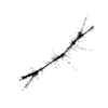 seqclust/clustering/clusters/dir_CL0091/CL91_tmb.png