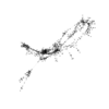 seqclust/clustering/clusters/dir_CL0092/CL92_tmb.png