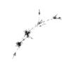 seqclust/clustering/clusters/dir_CL0093/CL93_tmb.png