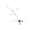 seqclust/clustering/clusters/dir_CL0101/CL101_tmb.png