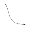 seqclust/clustering/clusters/dir_CL0103/CL103_tmb.png