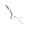 seqclust/clustering/clusters/dir_CL0105/CL105_tmb.png