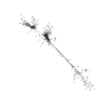 seqclust/clustering/clusters/dir_CL0107/CL107_tmb.png