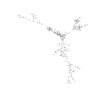 seqclust/clustering/clusters/dir_CL0130/CL130_tmb.png