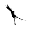 seqclust/clustering/clusters/dir_CL0002/CL2_tmb.png
