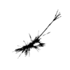 seqclust/clustering/clusters/dir_CL0011/CL11_tmb.png