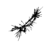 seqclust/clustering/clusters/dir_CL0012/CL12_tmb.png